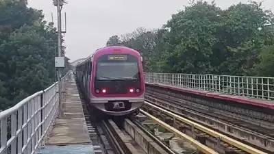 Namma Metro Disrupted After Massive Tree Branch Falls on Track